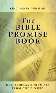 Bible Promise Book